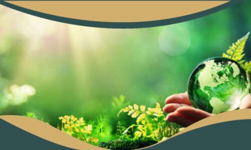 General Environmental Law